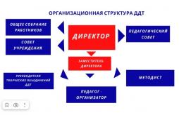 Организационная структура Дома детского творчества